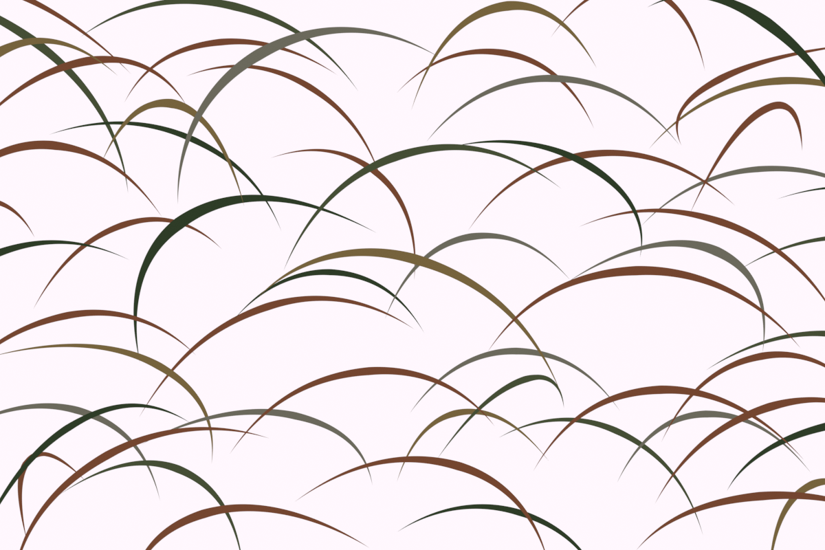 Pampas Grass Pattern
