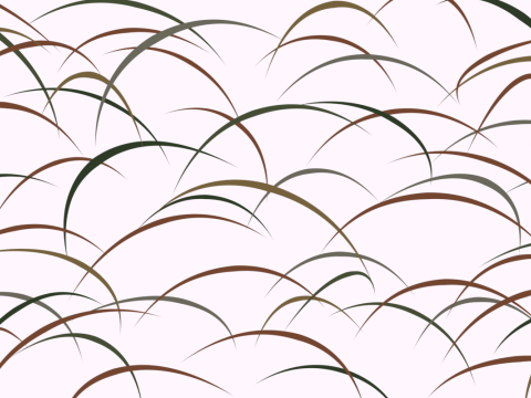 Pampas Grass Pattern